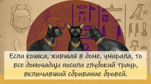 Египетская Мао или 10 фактов о кошках в Древнем Египте