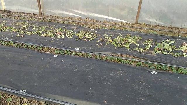 Накрыл балаганы. смотреть онлайн