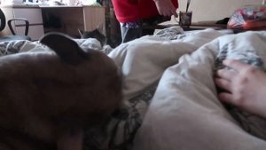 VLOG Что Даша нашла под подушкой