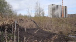 Тверь Волга Лайф 2024
