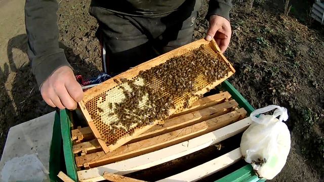 Первый мед, 9 марта, такого еще не видел смотреть онлайн