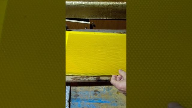 От воска до мёда.#Shorts смотреть онлайн