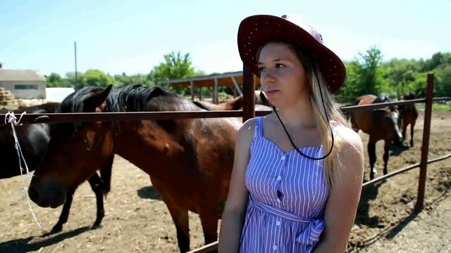 Ветеринария и жизнь смотреть онлайн