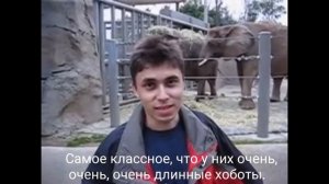 САМОЕ ПЕРВОЕ ВИДЕО НА YouTube