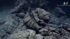 Обитатели МАРИАНСКОЙ ВПАДИНЫ самая глубокая впадина на земле