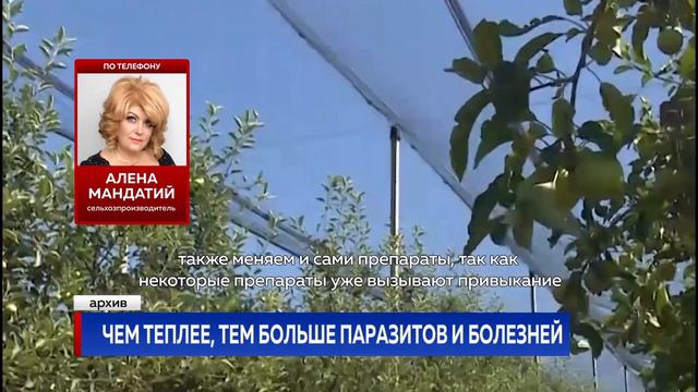 Чем теплее, тем больше паразитов и болезней смотреть онлайн