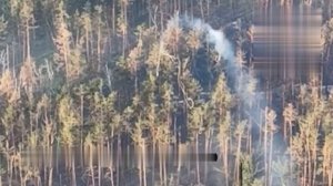 Отработка УР-77 "Змей Горыныч" в лесах Кременной. 
"Ой-ой-ой хохлам пизда.