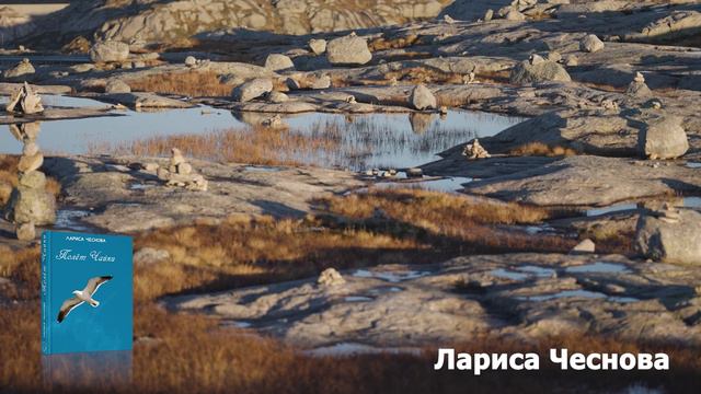 Позвольте Вселенной. Поэтесса Лариса Юрьевна