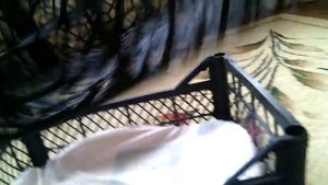 Домик для кошки из пластиковых ящиков !