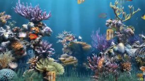 НАСТРОЙ ОТ ОНКОЛОГИИ ДЛЯ ИМЕНИ ПАВЕЛ