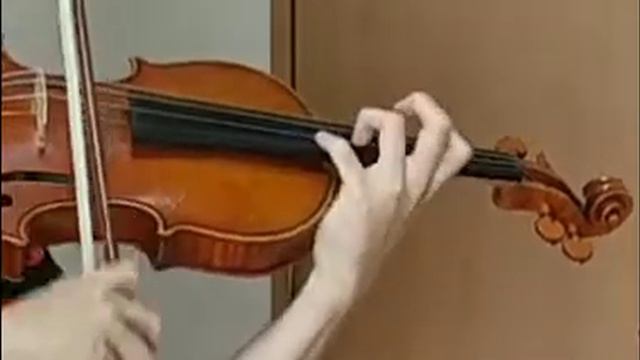Grazioso愛するものはみよ