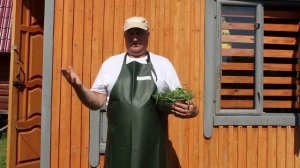 ПРАВИЛЬНАЯ ТРАВА ДЛЯ КУР!