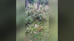 На что способен пневматический пестолет Gletcher MP-443 NBB