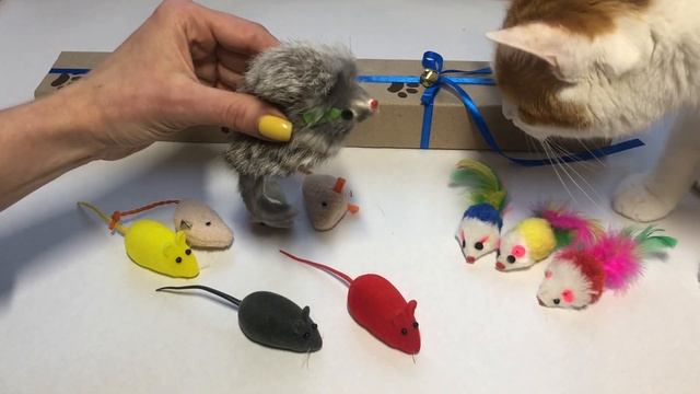 Игрушка для кошек Мышки набор 10 шт CAPSBOARD