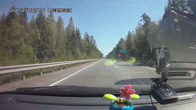 овца и баран смотреть онлайн