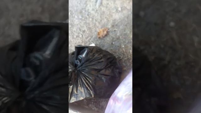 что можно найти на помойке в Ташкенте 2 смотреть онлайн