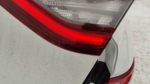 Рено Аркана - вода в  задних фонарях. Заводской брак или конструктивная особенность. Отзыв.