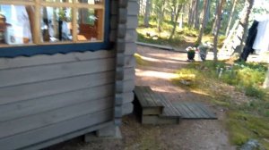 Финская дача