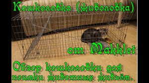 Кошколовка от Makklet.mp4