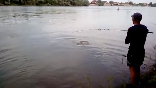 рыбалка-Амур на кубани (затон) 27.07.2014 смотреть онлайн