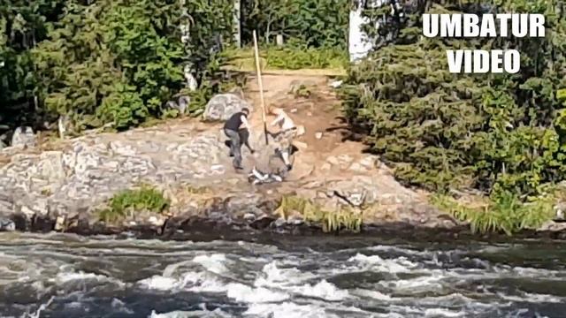 Рыбалка на Горбушу, можно даже руками смотреть онлайн