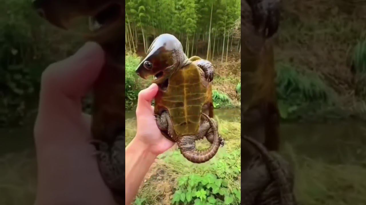 Загадочное смотреть онлайн