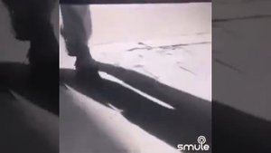 Звездный Тополиный Сад / Л Успенская/ .../G/...