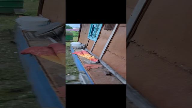 Обзор и сливы
