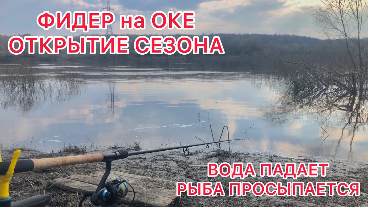 ФИДЕР на ОКЕ / ОТКРЫТИЕ СЕЗОНА / Вода ПАДАЕТ РЫБА Просыпается смотреть онлайн