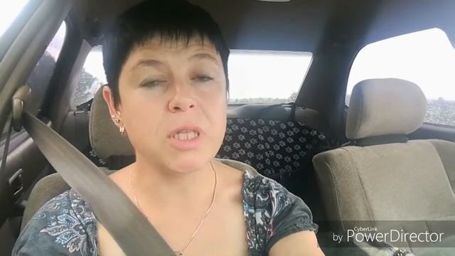 УКАЧИВАНИЕ СОБАК В МАШИНЕ//КАК С ЭТИМ БОРОТЬСЯ//ПРЕДОТВРАТИТЬ//ФОКСТЕРЬЕРА УКАЧИВАЕТ