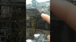 Стяжка дома арматурой