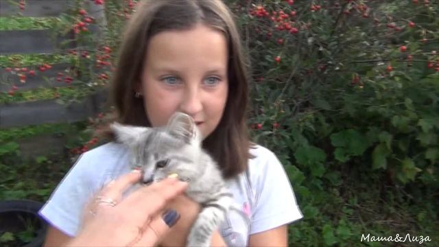 Розыгрыш буклета магнит поймай их всех миньоны смотреть онлайн