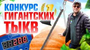 Всероссийский конкурс по выращиванию гигантских тыкв / Илья Макаров