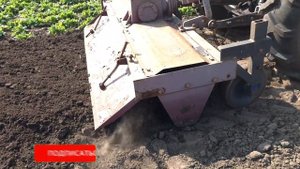 Выращивание гороха оскар. Посеяли петрушку, шпинат,кинзу и ГОРОХ ! Фреза в деле