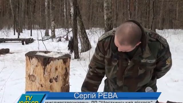 ЗИМНЯЯ КОРМУШКА смотреть онлайн