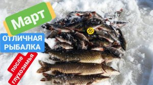 Отличная рыбалка после глухозимья . ХМАО-Югра Белоярский. озеро Горбатое.