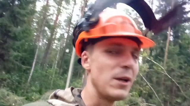 Погода мешает работать // Ураган в лесу // Валка леса // Будни беларуских вальщиков