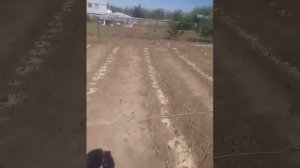 малина Полана