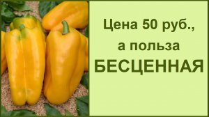 Диатомит садовый (почвоулучшитель) - купить для сада и огорода