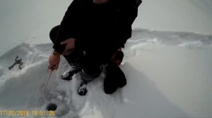 КАК ЛОВИТЬ ХАРИУСА ЗИМОЙ. ПОИСК РЫБЫ И ПОДБОР ПРИМАНОК.