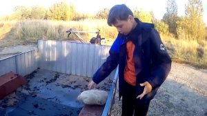 Обзор и тест драйв мотоблока Варяг