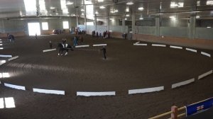 Razzle Dazzle   Lisa Fisher   Compulsories Round 1   Canter B Women   2019 AEVA Jump into June