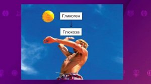 Биология. 8 класс. Механизм вдоха и выдоха. Строение грудной клетки