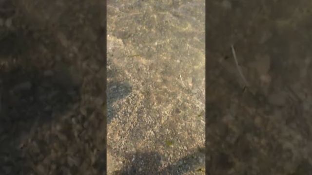 городской пляж г. Новороссийск день Военно-Морского Флота! Море теплое! Праздник! смотреть онлайн