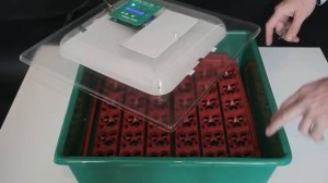 Обзор бытового премиум инкубатора Инкуб