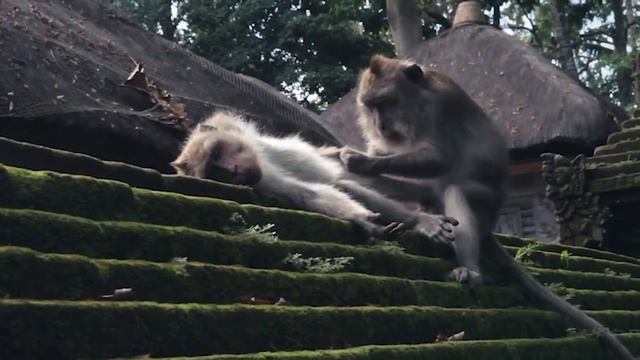 НЕ ПРОПУСТИ ТУРЫ ЙОГА-ХАУС - ИЮНЬ, ИЮЛЬ 2014 смотреть онлайн