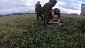 Привада на лису  Новый способ изготовления привады!