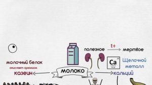 ВРЕД МОЛОКА