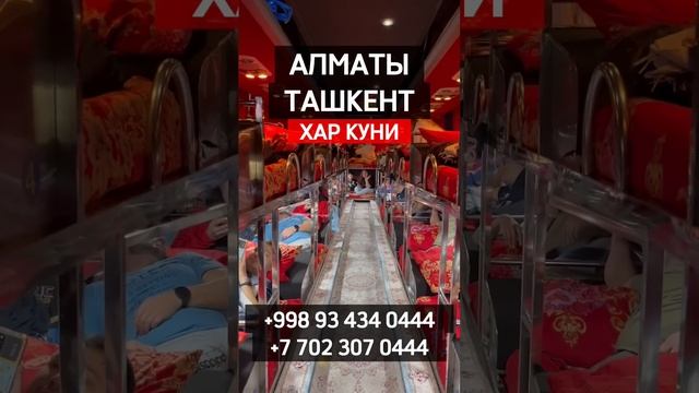 Алматы Ташкент спальный салон автобус #алматы #ташкент #спальныйсалон #автобус