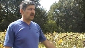 Гумат калия ФЛЕКСОМ. Эффективен при захусе